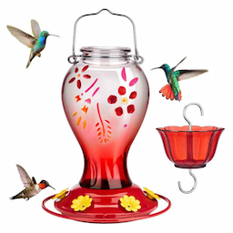 Kingsyard 26oz Leak Proof Glass Hummingbird Feeders with Ant Moat 2 Kingsyard 26oz Leak Proof Glass Hummingbird Feeders with Ant Moat 2