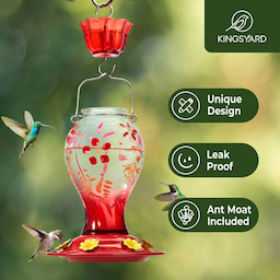 Kingsyard 26oz Leak Proof Glass Hummingbird Feeders with Ant Moat 6 Kingsyard 26oz Leak Proof Glass Hummingbird Feeders with Ant Moat 6