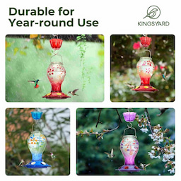 Kingsyard 26oz Leak Proof Glass Hummingbird Feeders with Ant Moat 7 Kingsyard 26oz Leak Proof Glass Hummingbird Feeders with Ant Moat 7