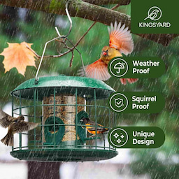 Kingsyard Squirrel Proof Caged Tube Bird Feeder 6 Kingsyard Squirrel Proof Caged Tube Bird Feeder 6