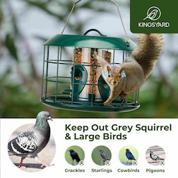 Kingsyard Squirrel Proof Caged Tube Bird Feeder 7 Kingsyard Squirrel Proof Caged Tube Bird Feeder 7