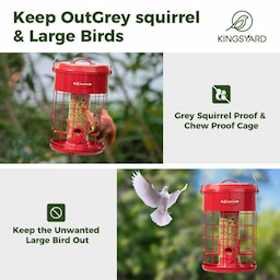 Red Kingsyard Caged Squirrel Proof Tube Feeder with Weatherproof Design 5 Red Kingsyard Caged Squirrel Proof Tube Feeder with Weatherproof Design 5