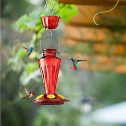 Kingsyard 16oz Glass Hummingbird Feeder with Ant & Bee Proof 1 Kingsyard 16oz Glass Hummingbird Feeder with Ant & Bee Proof 1