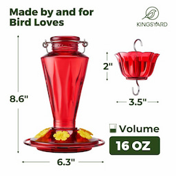 Kingsyard 16oz Glass Hummingbird Feeder with Ant & Bee Proof 3 Kingsyard 16oz Glass Hummingbird Feeder with Ant & Bee Proof 3
