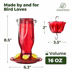 Kingsyard 16oz Glass Hummingbird Feeder 6 Ports with Ant Moat 3 Kingsyard 16oz Glass Hummingbird Feeder 6 Ports with Ant Moat 3