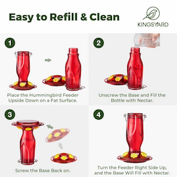 Kingsyard 16oz Glass Hummingbird Feeder 6 Ports with Ant Moat 5 Kingsyard 16oz Glass Hummingbird Feeder 6 Ports with Ant Moat 5