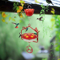 Kingsyard House Shape Tray Hummingbird Feeder with Ant Moat 1 Kingsyard House Shape Tray Hummingbird Feeder with Ant Moat 1