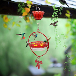 Kingsyard Oval Shape Tray Hummingbird Feeder with Ant Moat 1 Kingsyard Oval Shape Tray Hummingbird Feeder with Ant Moat 1