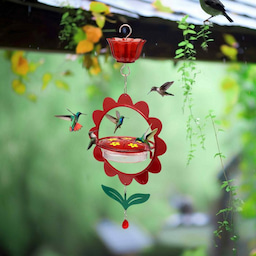 Kingsyard Floral Shape Tray Hummingbird Feeder with Ant Moat 1 Kingsyard Floral Shape Tray Hummingbird Feeder with Ant Moat 1