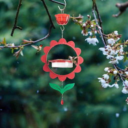 Kingsyard Floral Shape Tray Hummingbird Feeder with Ant Moat 8 Kingsyard Floral Shape Tray Hummingbird Feeder with Ant Moat 8