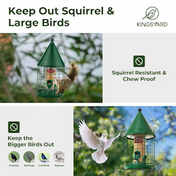 Kingsyard Caged Squirrel Proof Tube Bird Feeder with Rainproof Dome 5 Kingsyard Caged Squirrel Proof Tube Bird Feeder with Rainproof Dome 5