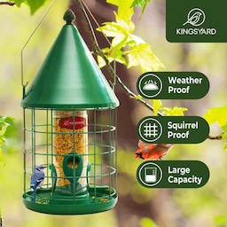 Kingsyard Caged Squirrel Proof Tube Bird Feeder with Rainproof Dome 7 Kingsyard Caged Squirrel Proof Tube Bird Feeder with Rainproof Dome 7