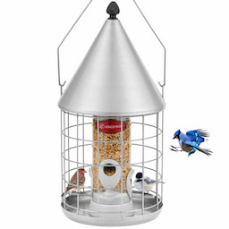 Silver Kingsyard Caged Squirrel Proof Tube Bird Feeder with Rainproof Dome 2 Silver Kingsyard Caged Squirrel Proof Tube Bird Feeder with Rainproof Dome 2