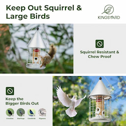 Silver Kingsyard Caged Squirrel Proof Tube Bird Feeder with Rainproof Dome 5 Silver Kingsyard Caged Squirrel Proof Tube Bird Feeder with Rainproof Dome 5