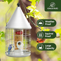 Silver Kingsyard Caged Squirrel Proof Tube Bird Feeder with Rainproof Dome 7 Silver Kingsyard Caged Squirrel Proof Tube Bird Feeder with Rainproof Dome 7