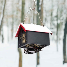 Kingsyard Metal Upside Down Double Suet Bird Feeder 1 Kingsyard Metal Upside Down Double Suet Bird Feeder 1
