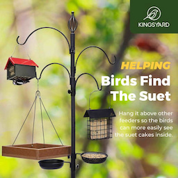 Kingsyard Metal Upside Down Double Suet Bird Feeder 7 Kingsyard Metal Upside Down Double Suet Bird Feeder 7