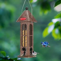 Brown Kingsyard Rainproof Tube Feeder with 4 Ports 1 Brown Kingsyard Rainproof Tube Feeder with 4 Ports 1