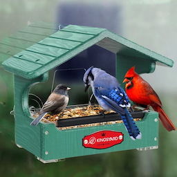 Kingsyard Window Bird Feeder House for Outside Hanging 4 Kingsyard Window Bird Feeder House for Outside Hanging 4