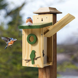 Kingsyard Wooden Bluebird House with 1.5'' Hole and Bird Pattern 4 Kingsyard Wooden Bluebird House with 1.5'' Hole and Bird Pattern 4