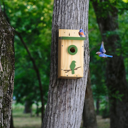 Kingsyard Wooden Bluebird House with 1.5'' Hole and Bird Pattern 6 Kingsyard Wooden Bluebird House with 1.5'' Hole and Bird Pattern 6