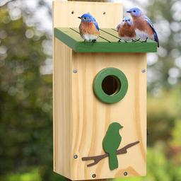 Should a Bird House Have a Perch: Essential Tips for Happy Birds