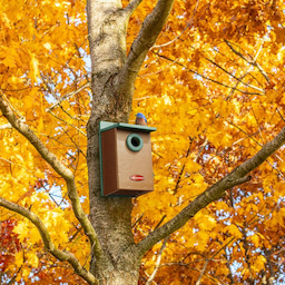 Kingsyard Recycled Plastic Bluebird House with 1.5'' Hole 8 Kingsyard Recycled Plastic Bluebird House with 1.5'' Hole 8