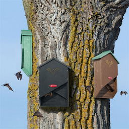 Kingsyard X-shaped Bat House 6 Kingsyard X-shaped Bat House 6