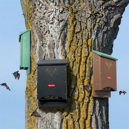 Kingsyard Arc Recycled Plastic Bat House 1 Kingsyard Arc Recycled Plastic Bat House 1