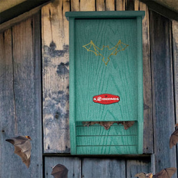 Kingsyard Unique Design Bat House 1 Kingsyard Unique Design Bat House 1