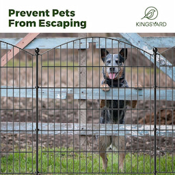 Kingsyard No Dig Big & Medium Animal Barrier Fence 6 Kingsyard No Dig Big & Medium Animal Barrier Fence 6