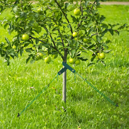 Kingsyard Heavy Duty Tree Support Stakes 1 Kingsyard Heavy Duty Tree Support Stakes 1