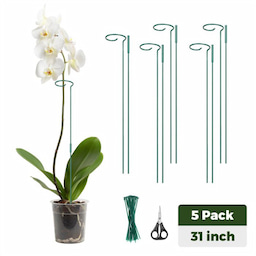 Kingsyard Metal Plant Support Stakes 2 Kingsyard Metal Plant Support Stakes 2