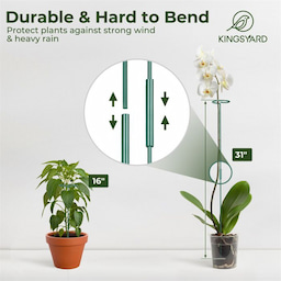 Kingsyard Metal Plant Support Stakes 4 Kingsyard Metal Plant Support Stakes 4