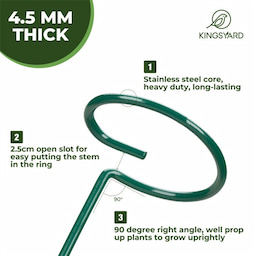 Kingsyard Metal Plant Support Stakes 5 Kingsyard Metal Plant Support Stakes 5