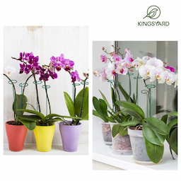 Kingsyard Metal Plant Support Stakes 8 Kingsyard Metal Plant Support Stakes 8