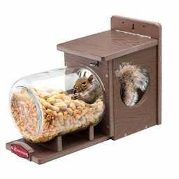 Kingsyard Recycled Plastic Squirrel Feeder 2 Kingsyard Recycled Plastic Squirrel Feeder 2