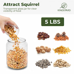 Kingsyard Recycled Plastic Squirrel Feeder 4 Kingsyard Recycled Plastic Squirrel Feeder 4