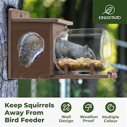 Kingsyard Recycled Plastic Squirrel Feeder 8 Kingsyard Recycled Plastic Squirrel Feeder 8