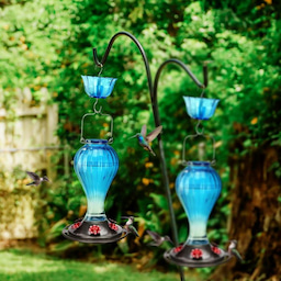 Blue Kingsyard 24oz Leak Proof Glass Hummingbird Feeder with Ant Moat 8 Blue Kingsyard 24oz Leak Proof Glass Hummingbird Feeder with Ant Moat 8