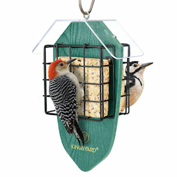 Kingsyard Double Suet Weatherproof Bird Feeder 2 Kingsyard Double Suet Weatherproof Bird Feeder 2