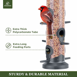 Black Kingsyard 2 Pack Weatherproof Tube Bird Feeder 4 Black Kingsyard 2 Pack Weatherproof Tube Bird Feeder 4