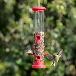 Kingsyard 2 Pack Weatherproof Tube Bird Feeder 1 Kingsyard 2 Pack Weatherproof Tube Bird Feeder 1