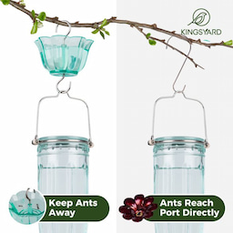 Green Kingsyard 16oz Glass Hummingbird Feeder With Ant Moat 5 Green Kingsyard 16oz Glass Hummingbird Feeder With Ant Moat 5