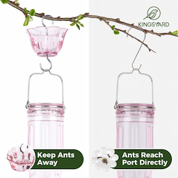 Pink Kingsyard 16oz Glass Hummingbird Feeder With Ant Moat 5 Pink Kingsyard 16oz Glass Hummingbird Feeder With Ant Moat 5
