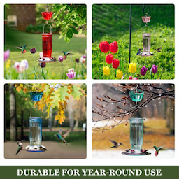 Red Kingsyard 16oz Glass Hummingbird Feeder With Ant Moat 6 Red Kingsyard 16oz Glass Hummingbird Feeder With Ant Moat 6