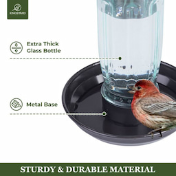 Green Kingsyard Glass Bird Waterer for Outdoor Use 4 Green Kingsyard Glass Bird Waterer for Outdoor Use 4