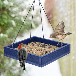 Kingsyard Platform Bird Feeder with Large Seed Tray 1 Kingsyard Platform Bird Feeder with Large Seed Tray 1