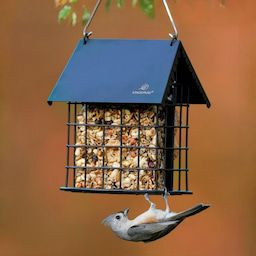 Kingsyard Suet Bird Feeder with Roof and Perch 1 Kingsyard Suet Bird Feeder with Roof and Perch 1