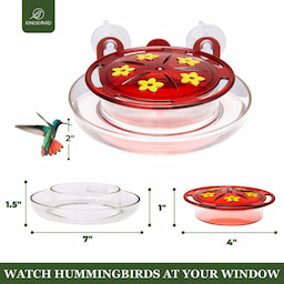 Kingsyard 8oz Plastic Window Hummingbird Feeder with Ant Moat 5 Kingsyard 8oz Plastic Window Hummingbird Feeder with Ant Moat 5